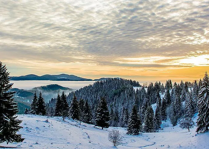 Amampuri Village Villa Pamporovo