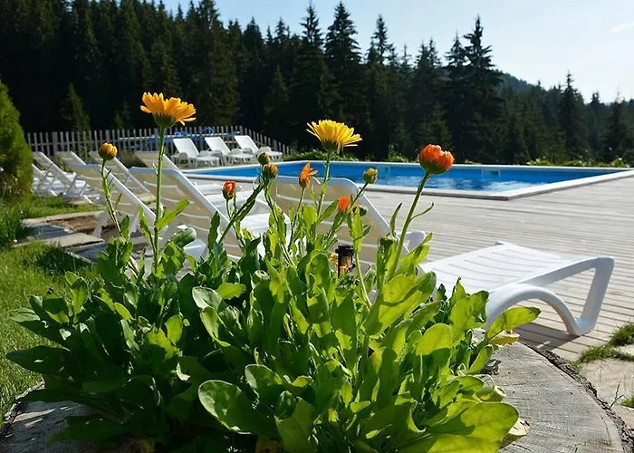 Villa Amampuri Village Pamporovo